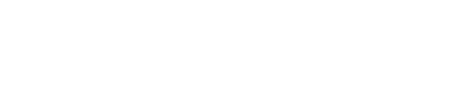 wizlearn footer logo